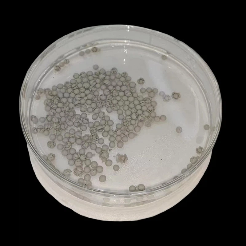 Qual è la differenza tra muschio di sfagno e ammendante?